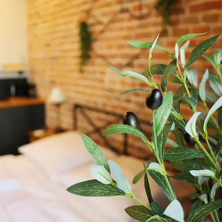 Rozana Near Wawel Castle Apartment *