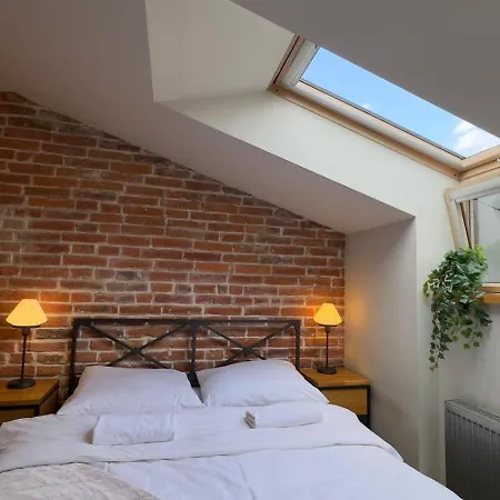 Apartman Rozana Near Wawel Castle *